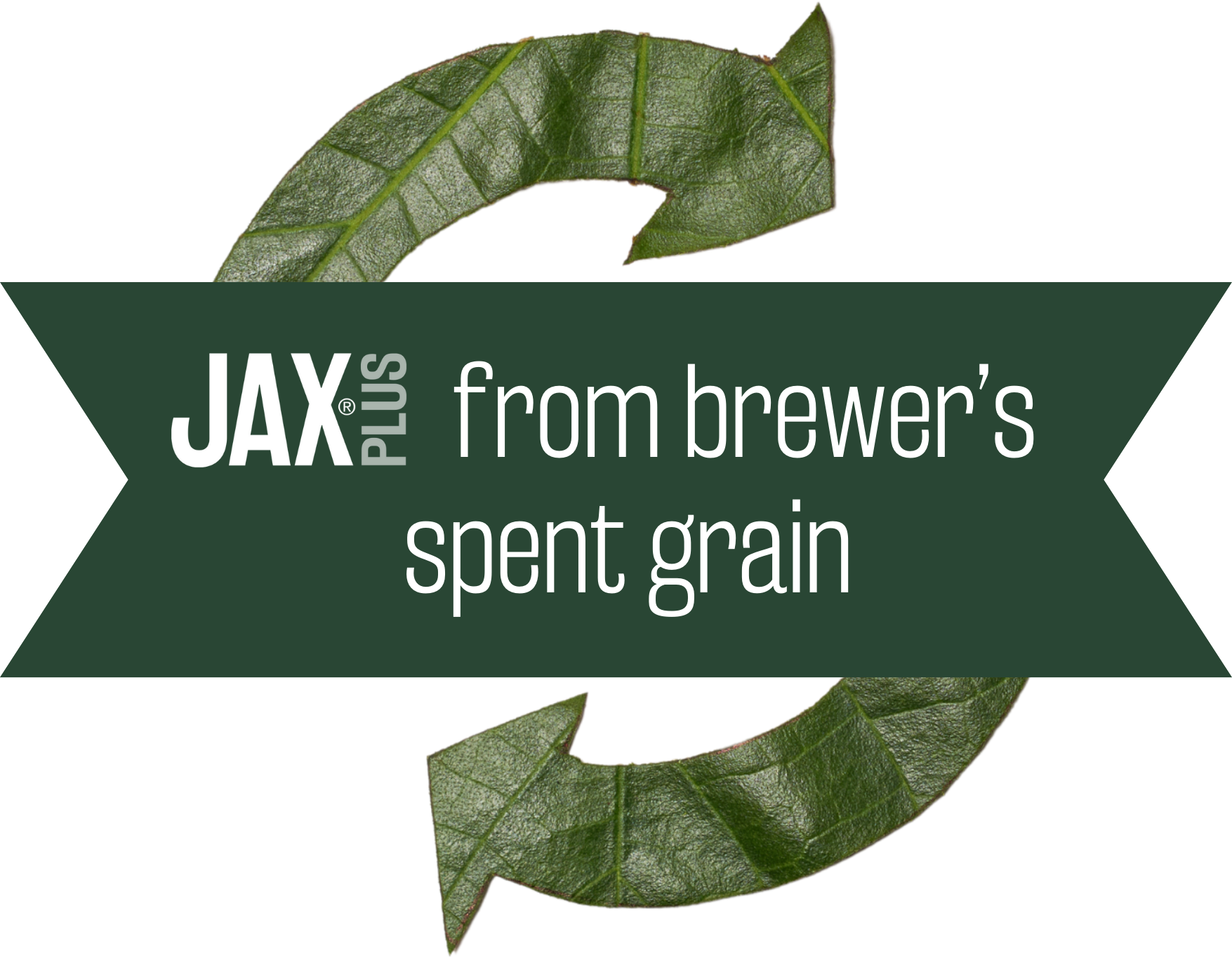 from brewer’s spent grain