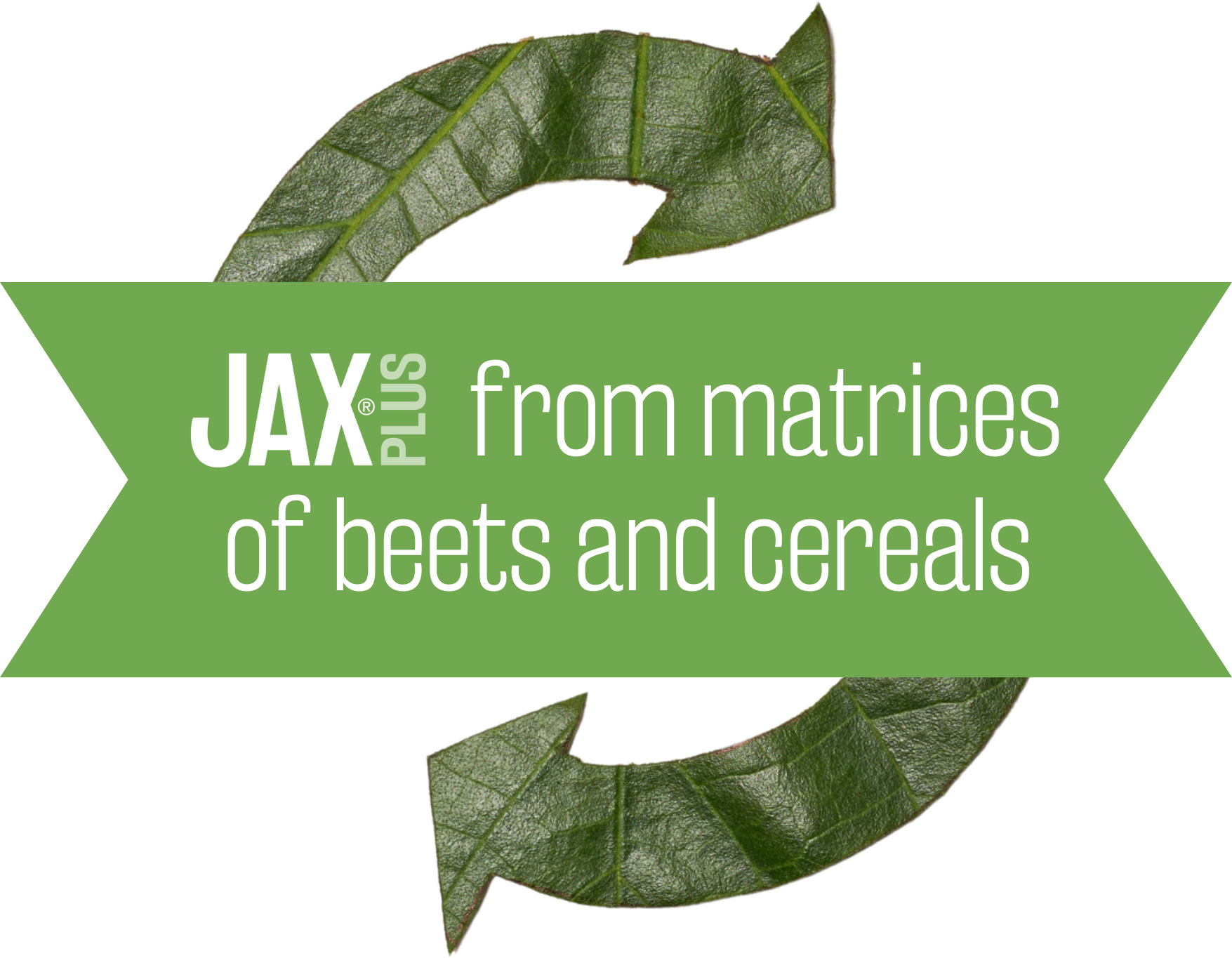 from matrices of beets and cereals